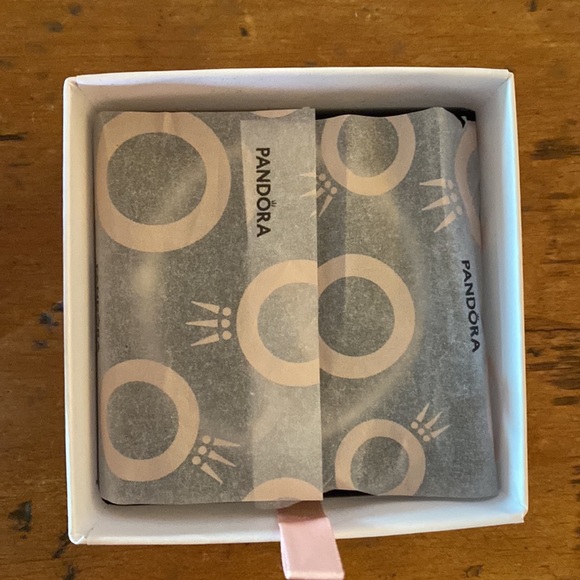 Pandora iconic Pandora Clasp Bracelet - Picture 4 of 9